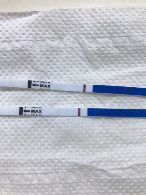 Chi non le aspetta per Maggio 2021 5