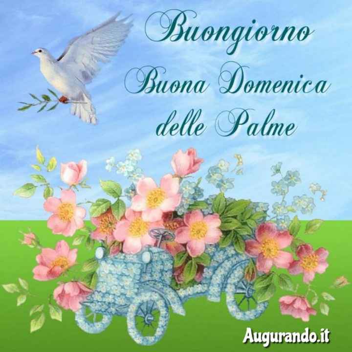Domenica delle Palme - 1