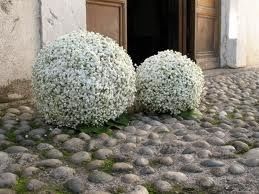 decorazione cheisa inverno
