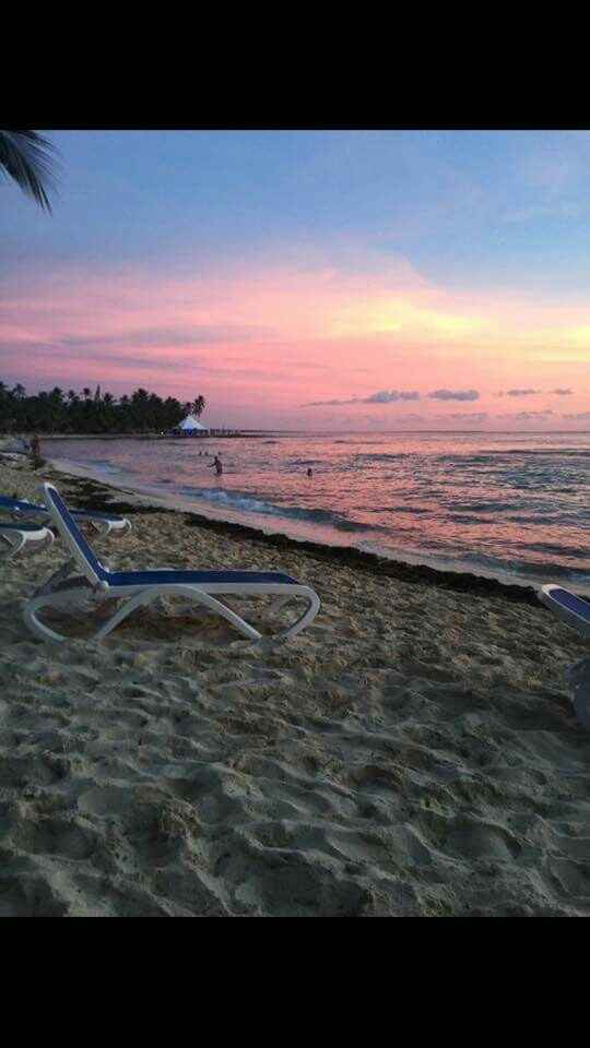 Viaggio di nozze - 15