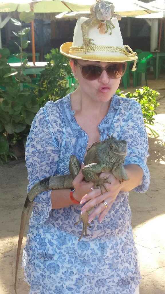 Viaggio di nozze - 19