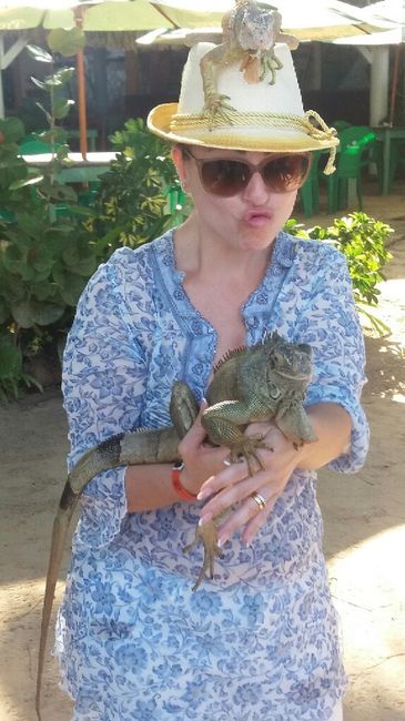 Viaggio di nozze - 19