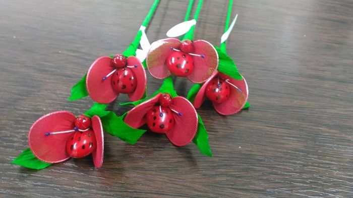 fioriiiiiiiii con coccinelle