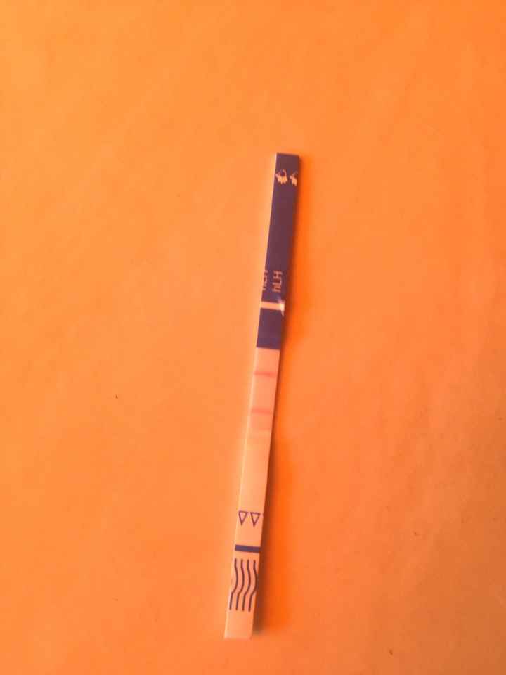 Test di ovulazione - 1