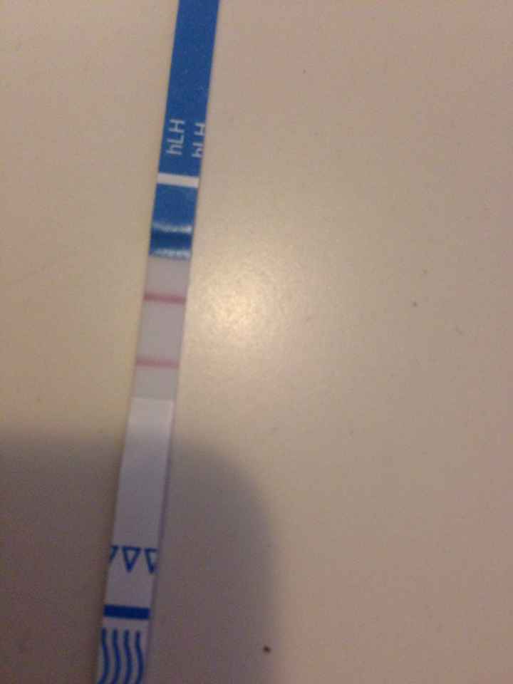 Secondo voi ho ovulato?! - 1