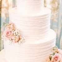 Torta! - 1