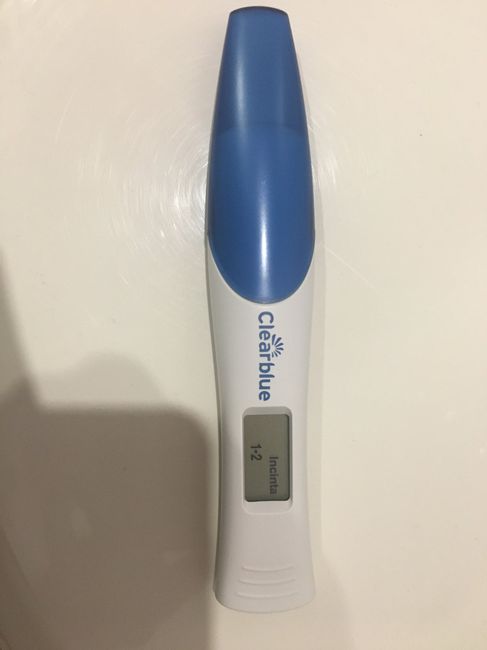 Chi non le aspetta per gennaio 2020 - 1