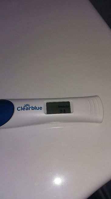 Test di gravidanza 2