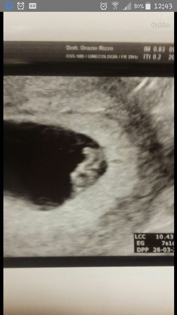 Vi presento il mio/a piccolino/a!!!!!!! Che emozione!!!!! 1