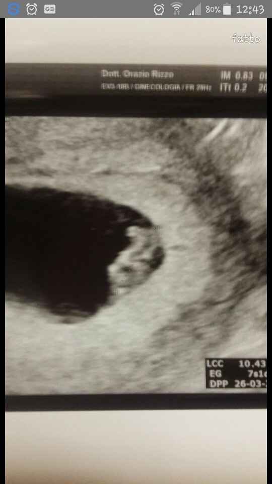 Vi presento il mio/a piccolino/a!!!!!!! Che emozione!!!!! - 1