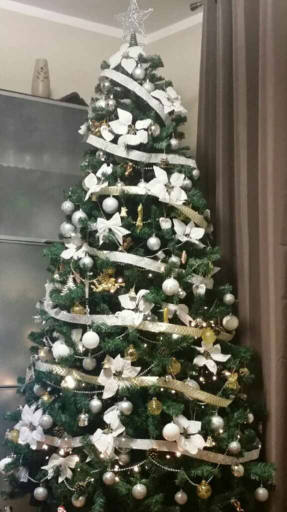  Anche il nostro albero finito - 1
