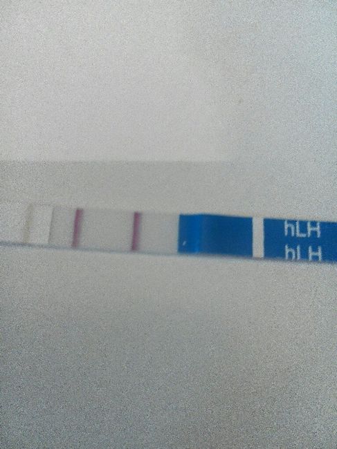 Test ovulazione aiutoooo - 4