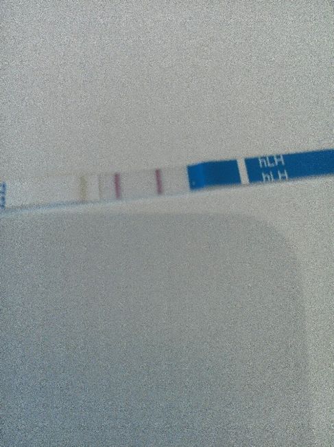 Test ovulazione aiutoooo - 5