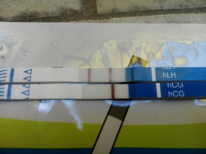 Test ovulazione aiutoooo - 1