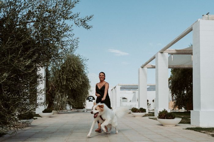 Animali al matrimonio 2