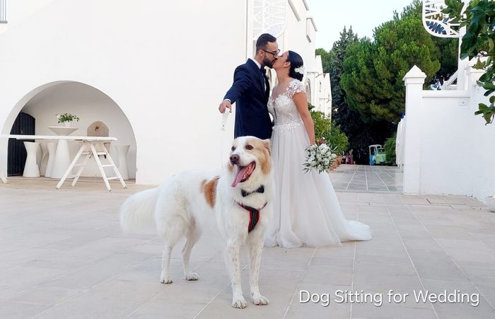 Animali al matrimonio 4