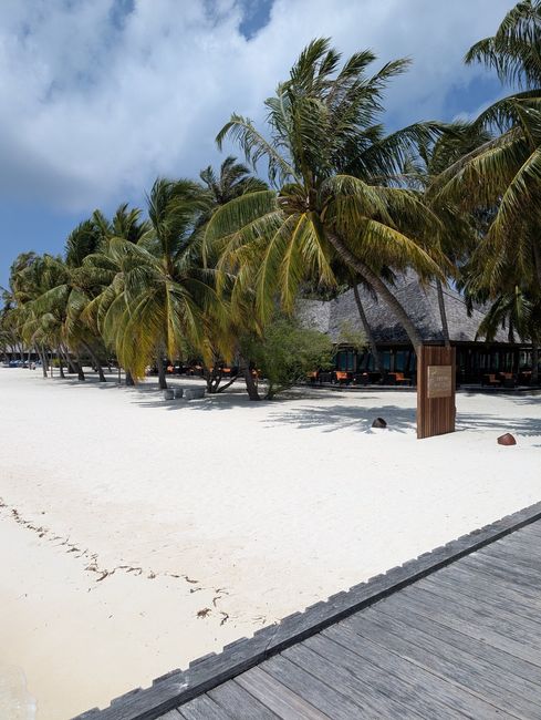 Consiglio resort Maldive 🌊☀️ 1