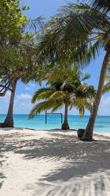 Consiglio resort Maldive 🌊☀️ 4