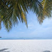 Consiglio resort Maldive 🌊☀️ - 2