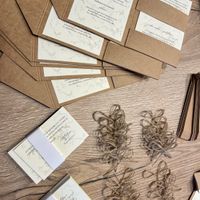 Cosa ne pensate delle mie partecipazioni? - 1