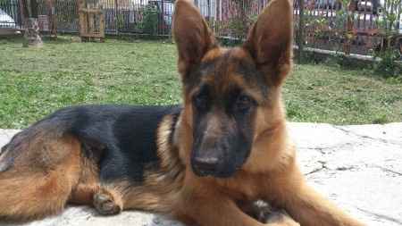 la nostra dolcissima MIla