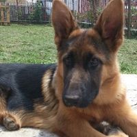 la nostra dolcissima MIla