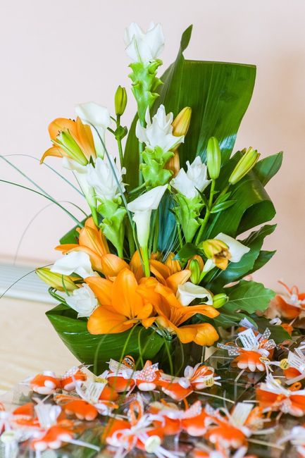 FIORI DI CURCUMA BIANCHI