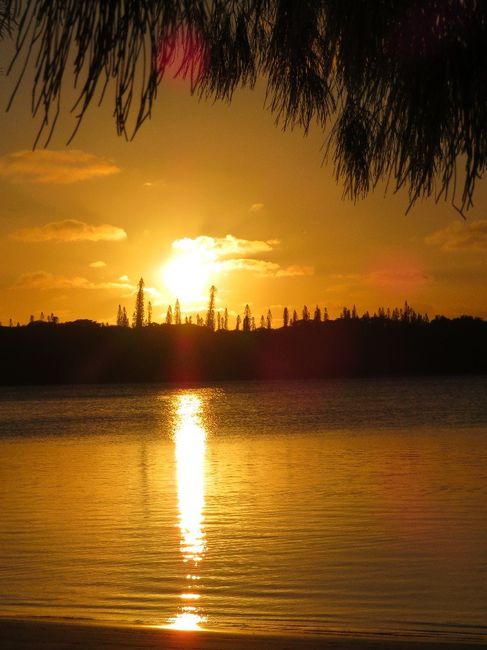 TRAMONTO ALL'ISOLA DEI PINI