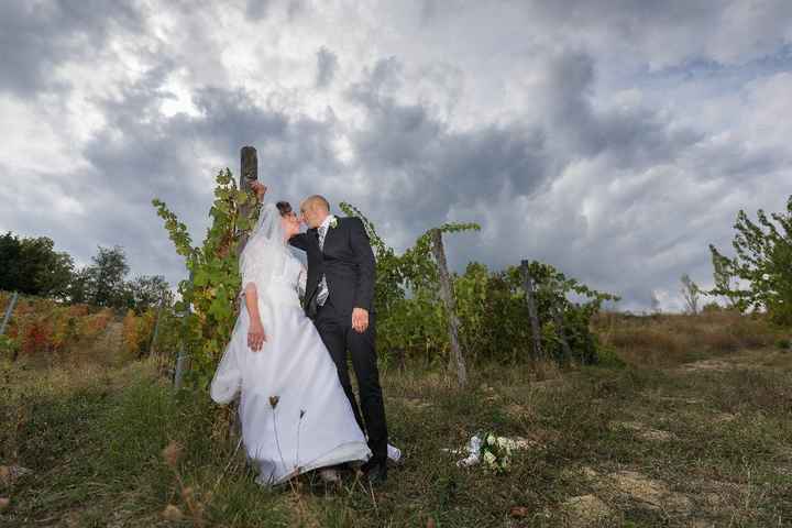 in mezzo alle vigne 3