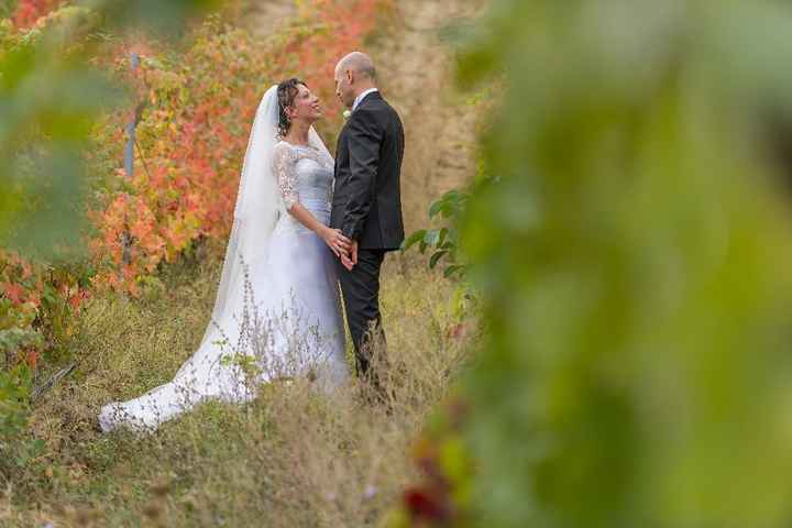 in mezzo alla vigne 4