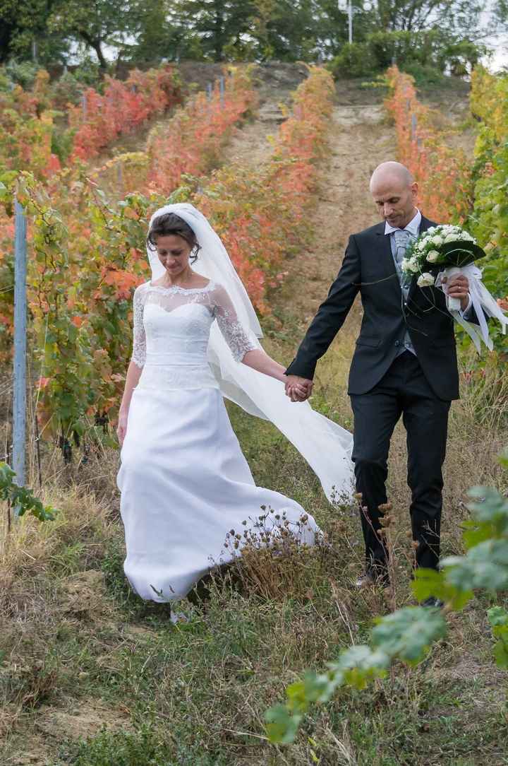 in mezzo alle vigne 5