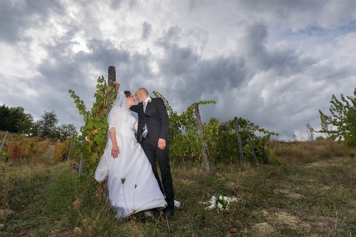 in mezzo alle vigne 3