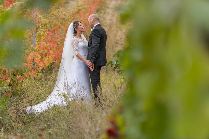 in mezzo alla vigne 4