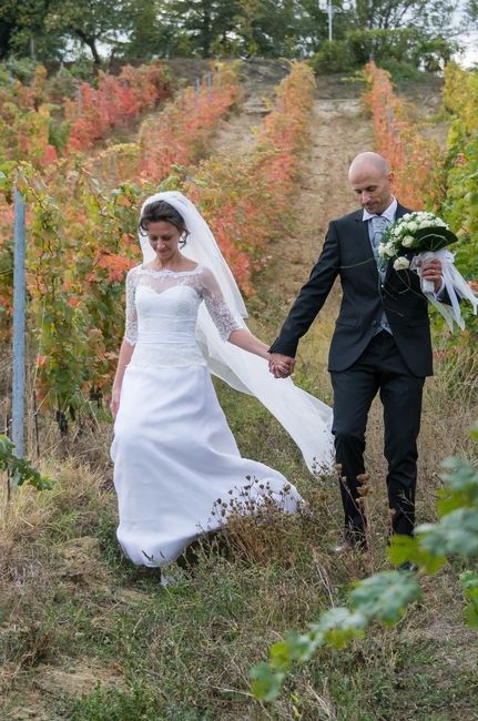 in mezzo alle vigne 5