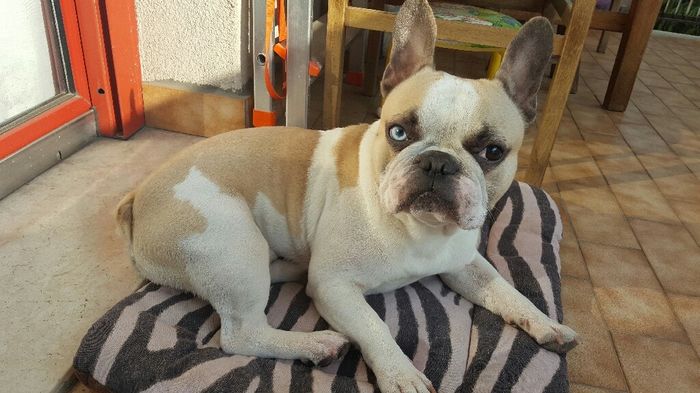 La nuova arrivata ?? - 1