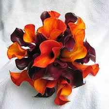 Fiori