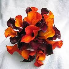 Fiori