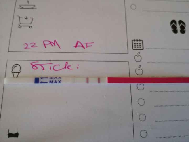 stick