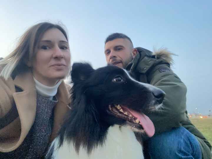 Avete un animale domestico? - 1