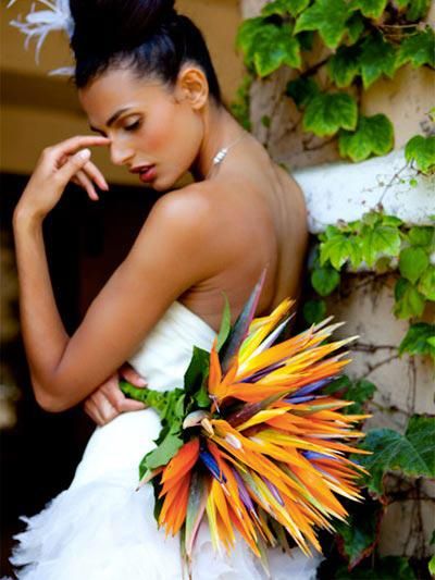 Un matrimonio con fiori tropicali 13