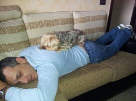 i miei cuccioli