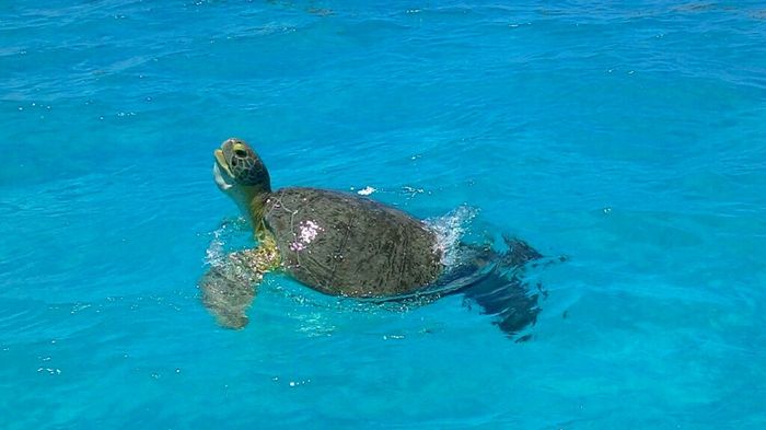 Messico=paradiso terrestre - 4