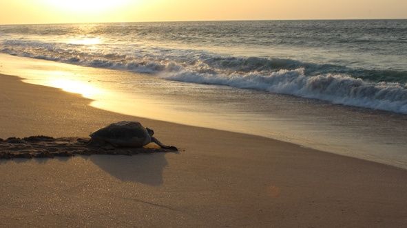 Oman - viaggio di nozze