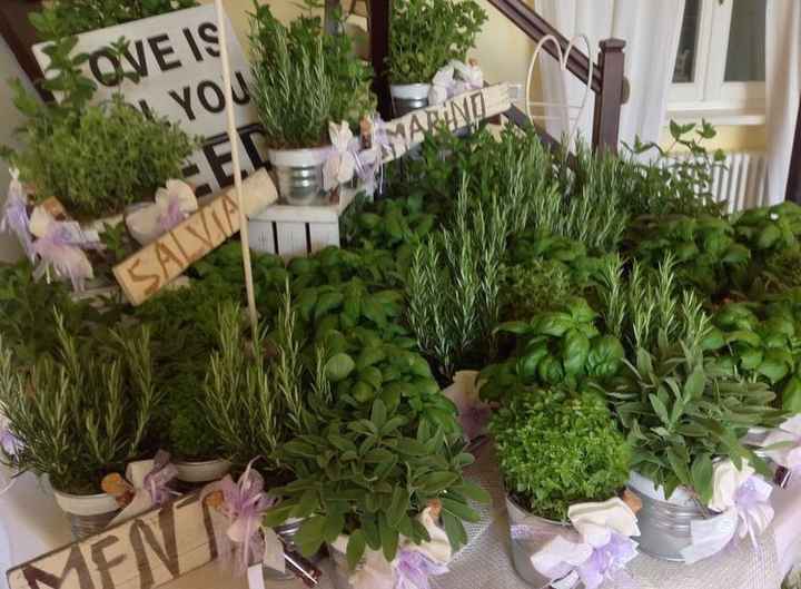 Piante per bomboniere - 2