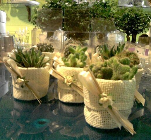 Bomboniere con piante aromatiche, che ne dite? chi le ha mai fatte? - 4