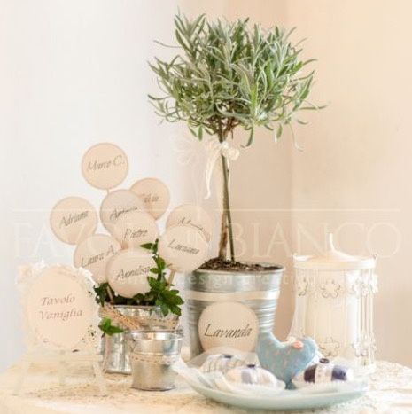 Bomboniere con piante aromatiche, che ne dite? chi le ha mai fatte? - 6