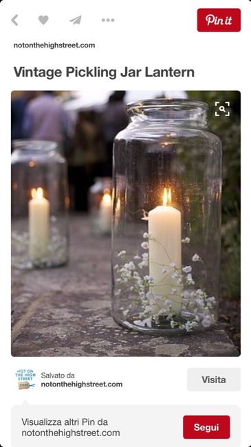 Gypsophila... brutta? - 2