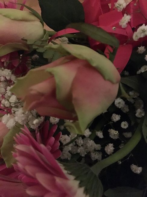 Rose tonalità verde/rosa - 2