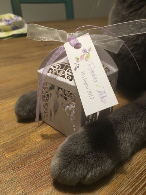 Portaconfetti amazon - 2