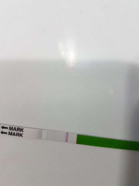  Test canadesi ovulazione - 1